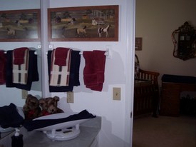 Tue Aug 16 13:44:51 2005

Andrew's bathroom - sink and counter which the scale that we weigh him with