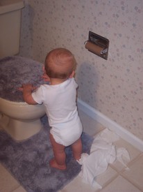 Thu Mar  2 18:56:17 2006

Mom and dad have now learned to keep the bathroom door closed...