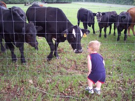 Tue 03 Jul 2007 03:04:59 PM