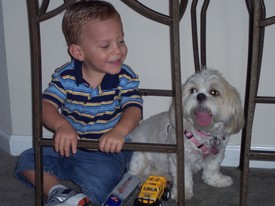 Mon 08 Oct 2007 12:11:25 PM

Andew and Ace