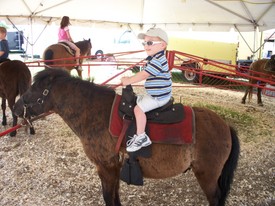 Thu 10 Apr 2008 01:45:00 PM

Ellen and Papa took Andrew to the Clay County Agricultural Fair.