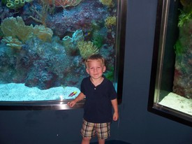 Thu 31 Jul 2008 12:17:25 PM

Dad took a couple of days off of work for no real reason, and took Andrew to the Jacksonville Museum of Science and History, the MOSH, where this photo was taken.