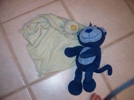Thu 14 Aug 2008 06:11:32 PM

Andrew took this picture of his favorite two guys: the yellow blanket that he recently named Punchy and the blue monkey.