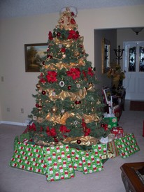 Thu 25 Dec 2008 12:46:07 AM

Santa Claus came!