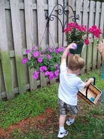 Sun 12 Apr 2009 05:13:36 PM

Easter egg hunting at Nana and Papa's.