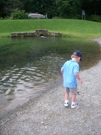 Tue 28 Jul 2009 11:23:37 AM

Andrew examines a butterfly at the trout pond.