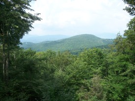Tue 28 Jul 2009 04:10:17 PM

The view from the back deck of the house we rented for the week, at 158 Chestnut Way on Beech Mountain.