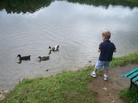 Wed 29 Jul 2009 02:28:58 PM

Wednesday was a total washout -- it rained all day.  We slipped over to Lake Coffee for a few minutes to feed the ducks, and still it rained on us and forced us to leave.