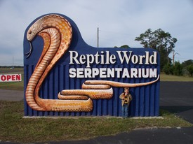Sat 28 Nov 2009 10:43:01 AM

We skipped Disney on Saturday, also, opting for some less intense activities: the Reptile World Serpentarium in St. Cloud and Dinosaur World in Plant City.