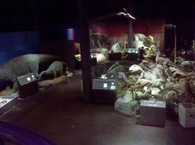 Fri 01 Oct 2010 02:16:12 PM

School got out at 1pm on Fri, October 1st and Dad decided to take Andrew to the MOSH to see the 2010 dinosaur exhibit.