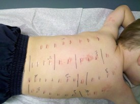 Mon 29 Nov 2010 03:26:49 PM

...but the results were pretty bad.