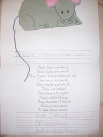 Sat 19 Feb 2011 09:21:46 AM