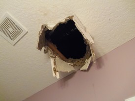 Thu 26 Jun 2014 03:11:39 PM

Andrew fell through the ceiling in the guest bath of the new house! He was so lucky to not be hurt worse than fairly serious bumps and bruises.