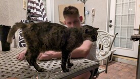 Fri 22 Aug 2025 08:34:02 PM