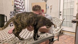 Fri 22 Aug 2025 08:34:06 PM