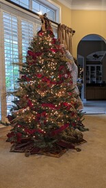 Fri 24 Nov 2023 10:57:37 AM