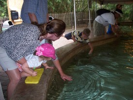 Sat 19 Nov 2011 04:31:13 PM

We 