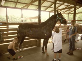 Sat 28 Sep 2013 04:38:04 PM