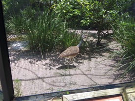 Wed 28 May 2014 01:55:30 PM