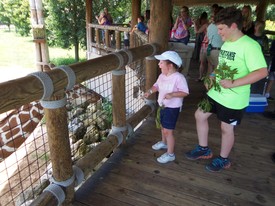 Wed 28 May 2014 02:10:08 PM