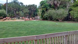 Sat 03 Jun 2017 02:10:22 PM