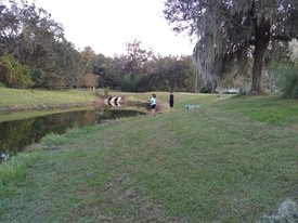 Sat 18 Nov 2017 05:21:16 PM

Fishing in an OPCC lake