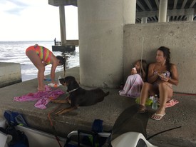 Sat 29 Jun 2019 12:20:24 PM