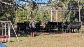 Sun 01 Dec 2024 12:10:37 PM