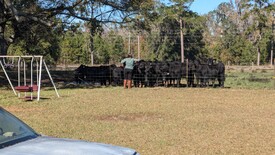 Sun 01 Dec 2024 12:29:00 PM