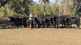 Sun 01 Dec 2024 12:29:27 PM