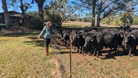 Sun 01 Dec 2024 12:31:36 PM