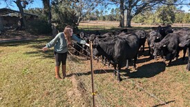 Sun 01 Dec 2024 12:31:52 PM