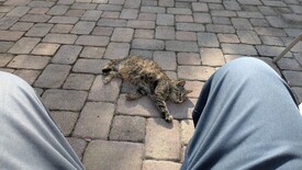 Thu 27 Feb 2025 04:14:41 PM