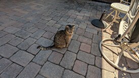 Wed 26 Mar 2025 11:34:07 AM