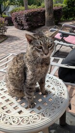 Thu 27 Mar 2025 04:25:51 PM