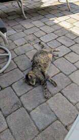 Fri 04 Apr 2025 10:48:10 AM