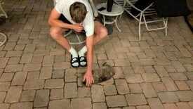 Fri 18 Apr 2025 08:33:13 PM