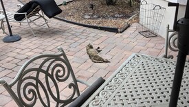 Thu 01 May 2025 06:41:25 PM