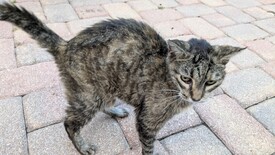 Mon 01 Sep 2025 07:35:58 PM