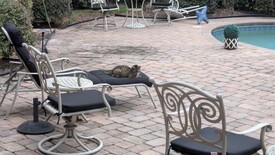 Mon 08 Sep 2025 05:19:03 PM