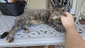 Mon 13 Oct 2025 11:06:32 AM