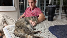 Sun 19 Oct 2025 02:14:29 PM