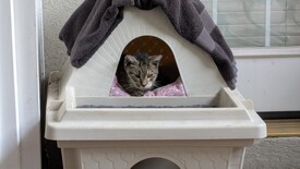 Thu 06 Nov 2025 05:01:34 PM