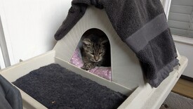 Thu 06 Nov 2025 05:08:01 PM