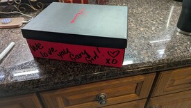 Sat 31 Jan 2026 03:29:04 PM