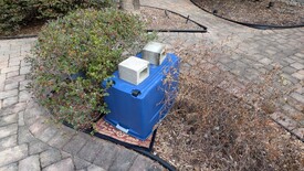 Sat 31 Jan 2026 10:23:27 AM