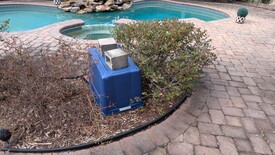 Sat 31 Jan 2026 10:23:39 AM