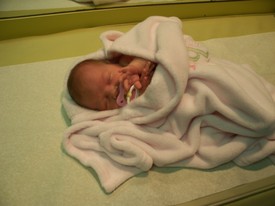 Tue 07 Apr 2009 09:15:48 AM

Gracie's 2nd Dr. appointment.