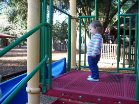 Fri 12 Nov 2010 05:00:53 PM

Gracie participates during one of Andrew's play dates with his buddies.