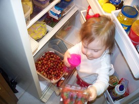 Fri 03 Dec 2010 06:31:29 PM